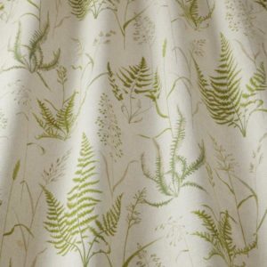 Botanica in willow fern print